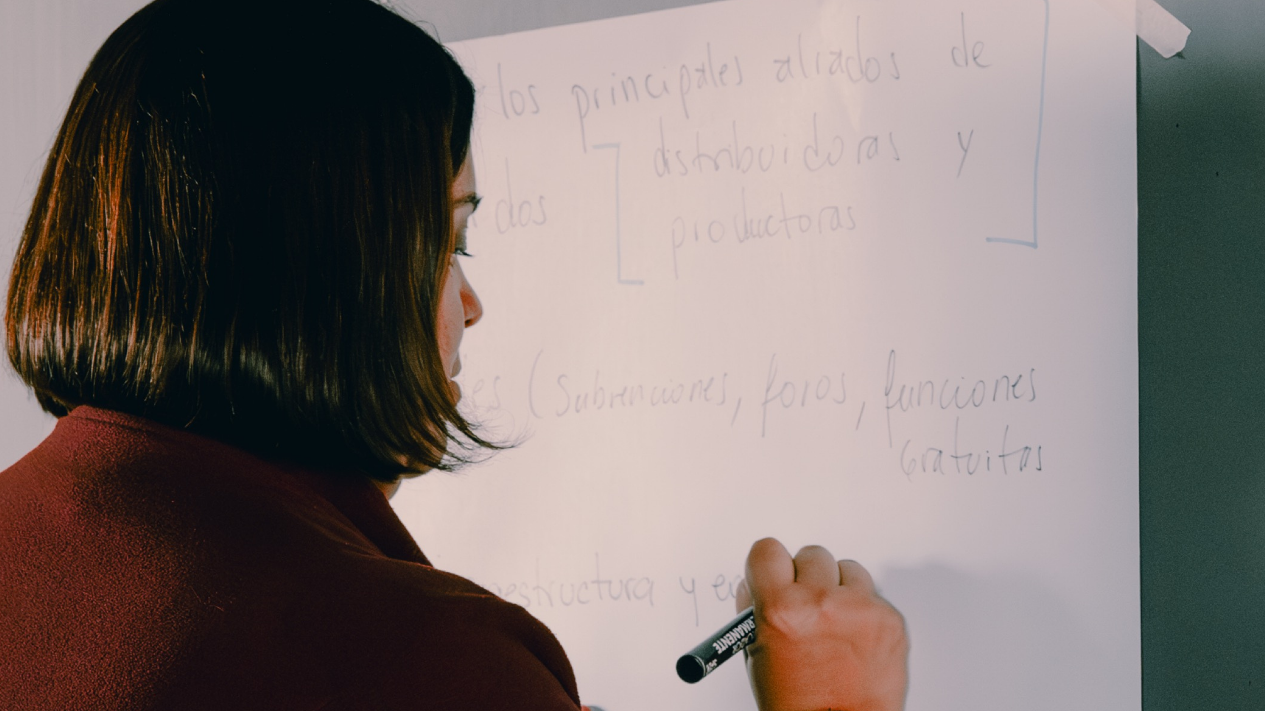Asociación Gremial de Salas Independientes de Cine de Chile presenta a su nuevo Directorio