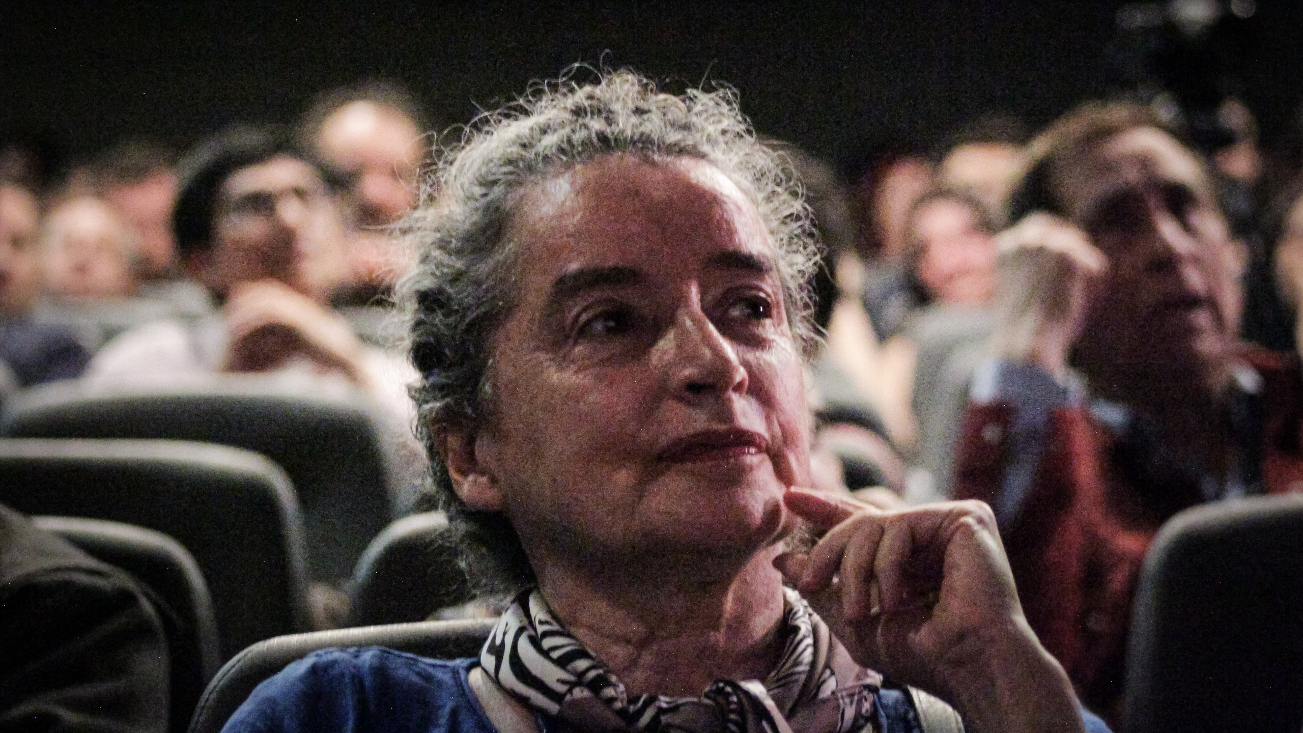 Cine desde la sala: Red Salas de Cine abre convocatoria para laboratorio virtual con foco en la exhibición y mediación audiovisual independiente