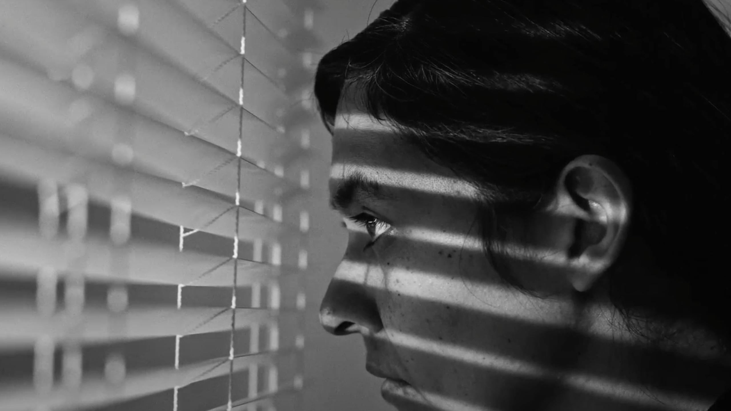 Nuevas funciones de ‘Las cenizas’ en noviembre: El thriller chileno será exhibido en Padre Las Casas y Cine UC