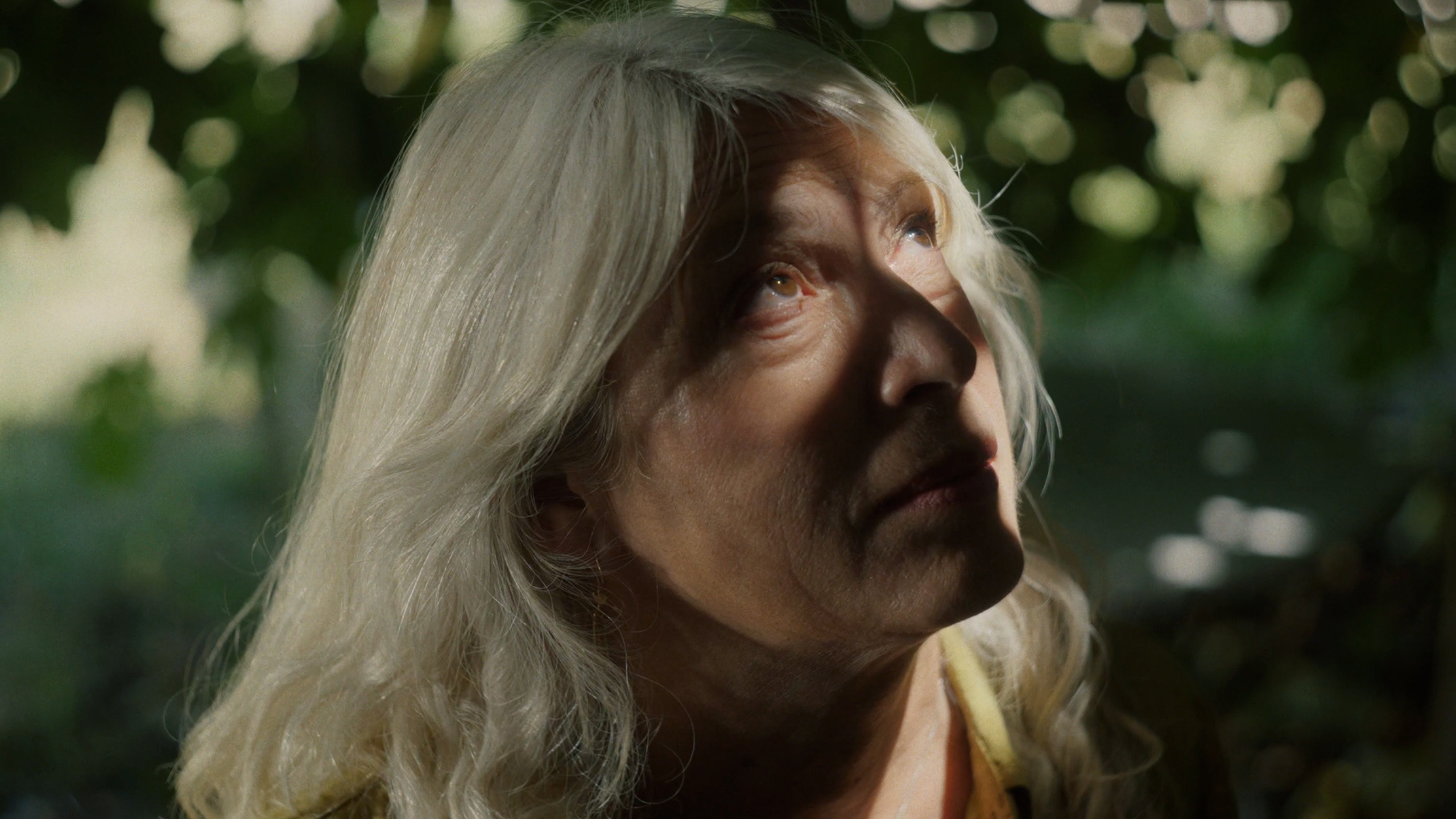 Destacados enero: Esperados títulos llegan a cines nacionales