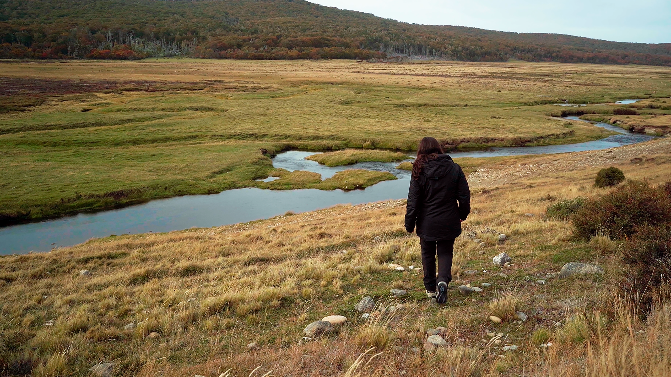 Dos documentales llegarán a salas de la Red Salas de Cine Chile a través de ‘Estrenos en RED’ 2026